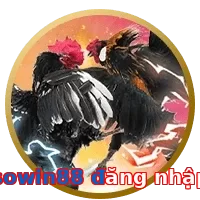 sowin88 đăng nhập